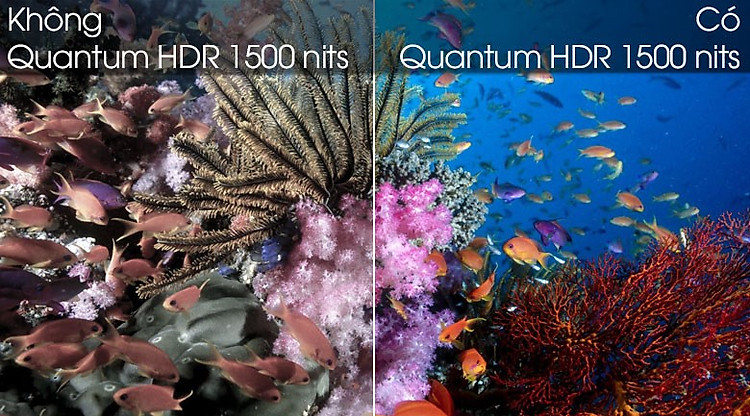 Quantum HDR 1500 nits-Smart Tivi QLED Samsung 4K 85 inch QA85Q80T