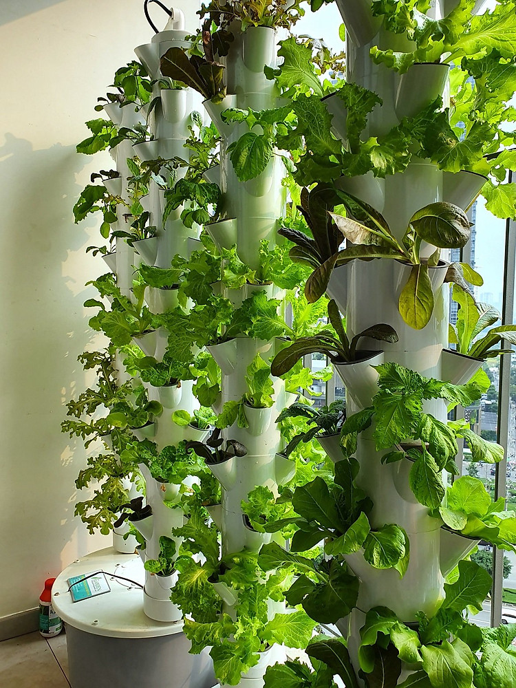 Trụ Đôi Thủy Canh Trồng Rau Sạch TTC-V2 (72 hốc rau - phiên bản mới)