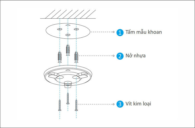 c6n-7.jpg?v=1691570908536