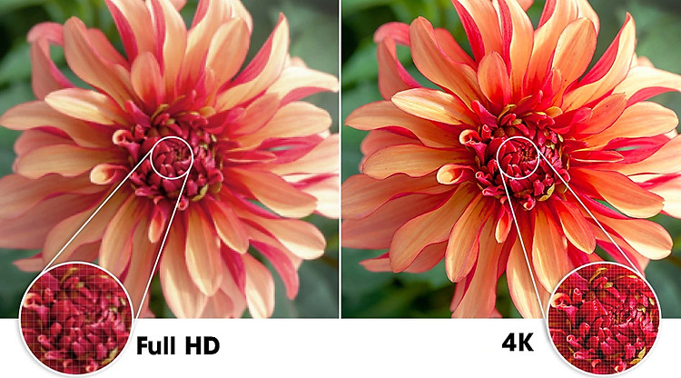 4K - Smart Tivi Samsung 4K 50 inch UA50AU7700