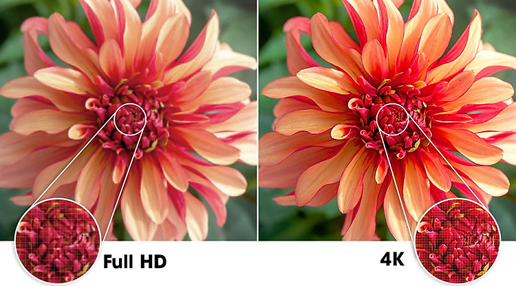 Ultra HD 4K - Smart Tivi Samsung 4K 43 inch UA43AU7700