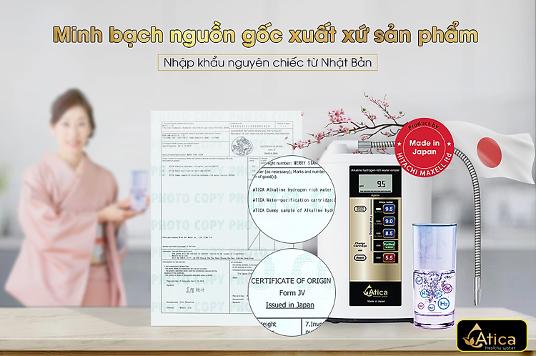 Chứng nhận nhập khẩu(C/O) từ Nhật Bản