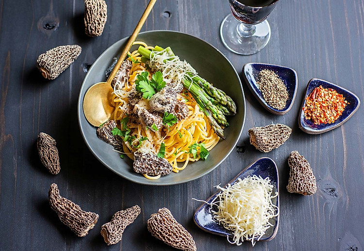 Fresh Pasta with Morel Cream Sauce - Forest For Dinner | Wild Food  Specialist on Vancouver Island