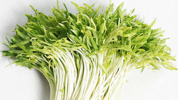 13 lợi ích tuyệt vời của rau mầm Cooky 7