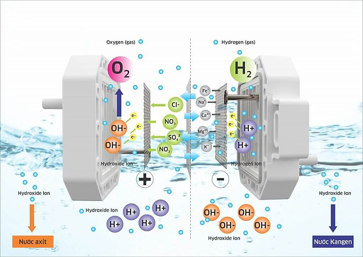 Máy lọc nước Hydrogen ion kiềm Kangaroo KG100EO