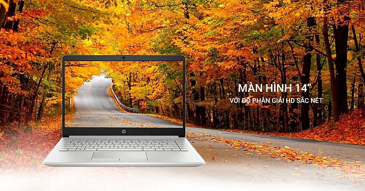 Laptop HP 14s-dq1021TU 8QN32PA