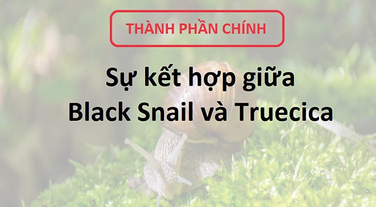 6gjEVI_simg_d0daf0_800x1200_max.jpg
