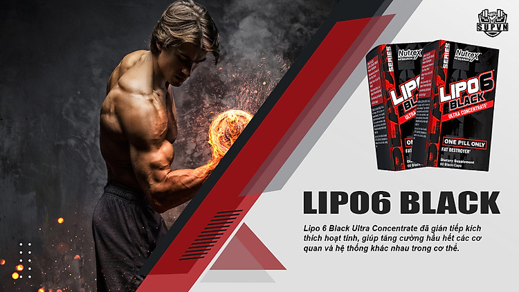 lipo6-black-dot-mo-hieu-qua-cao-nutrex