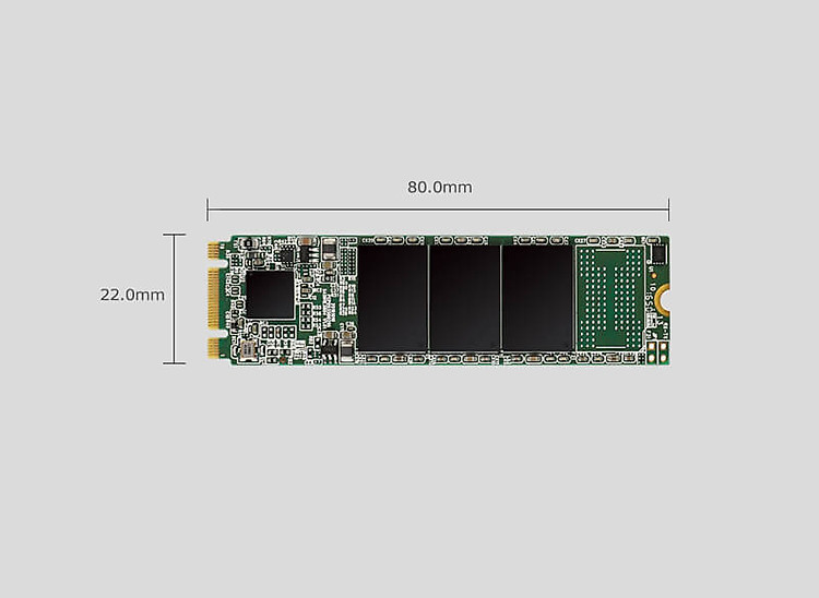 SSD Silicon Power M.2 2280 SATA A55 256GB