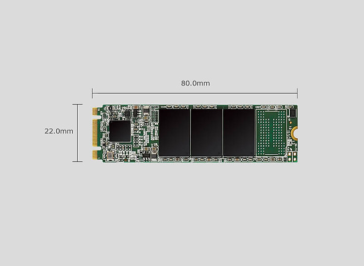 SSD Silicon Power M.2 2280 SATA A55 512GB