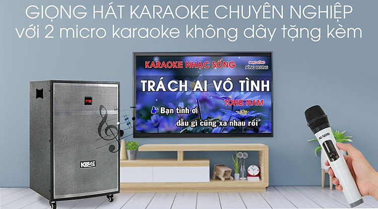 Loa Kéo Karaoke Acnos CBX15G 450W - Karaoke