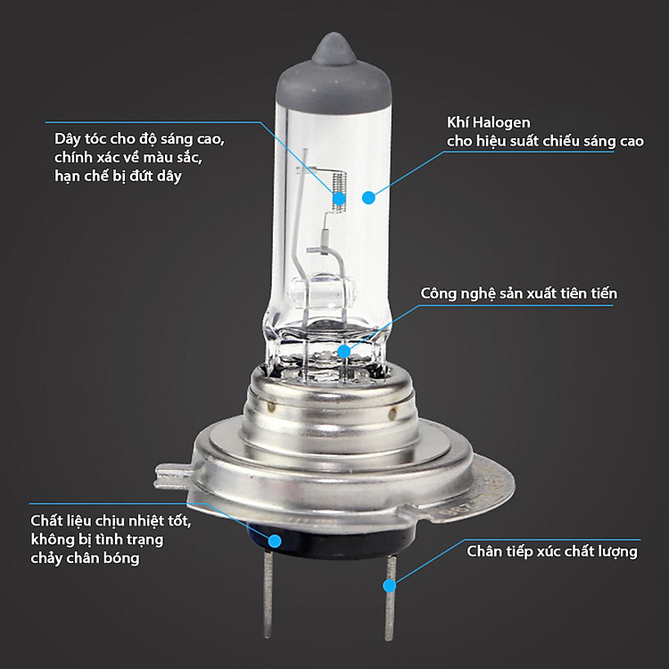 nd-bong-den-o-to-xtec-h4-2.jpg?v=1666078314705