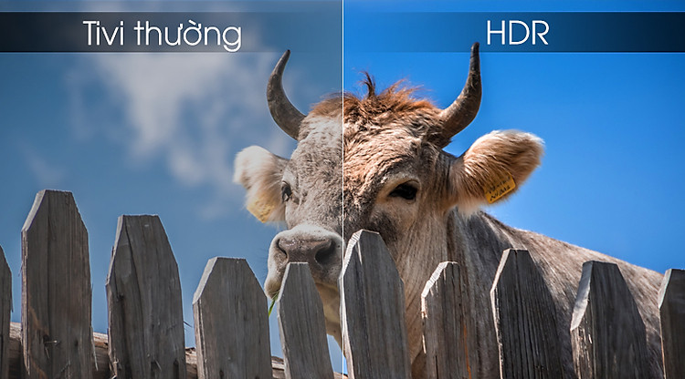 Hình ảnh rõ nét với công nghệ HDR - Smart Tivi Khung Tranh QLED Samsung 4K 55 inch QA55LS03R Hình ảnh rõ nét với công nghệ HDR - Smart Tivi Khung Tranh QLED Samsung 4K 55 inch QA55LS03R