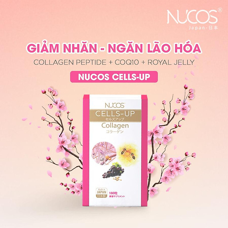 Nucos Cells Up Collagen