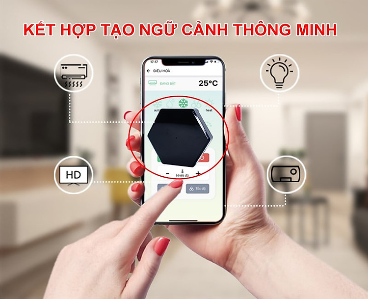 tao ngu canh 800x650 min