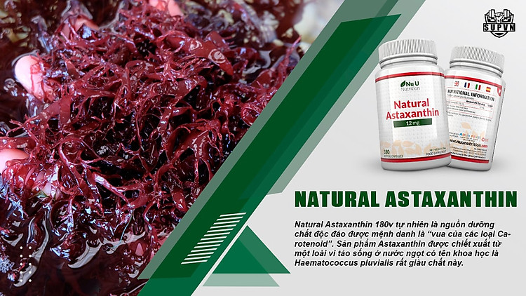 astaxanthin-vat-lieu-tu-thien-nhien