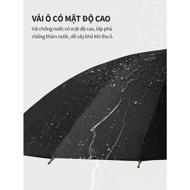 5f56cd11afe04763ace47c20a478aa51~tplv-aphluv4xwc-origin-jpeg.jpeg?dr=15568&t=555f072d&ps=933b5bde&shp=1c65f68b&shcp=9b759fb9&idc=my2&from=476444299