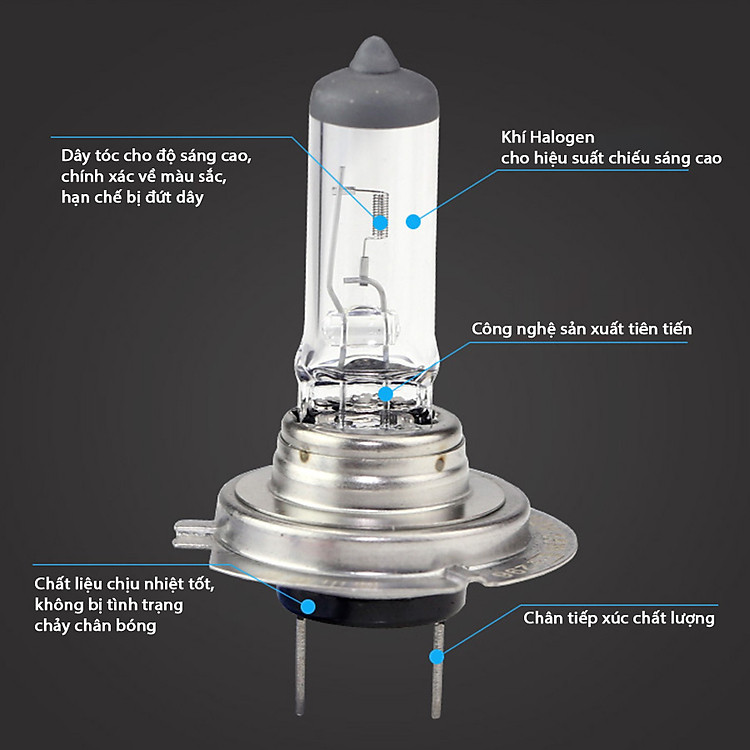 nd-bong-den-o-to-xtec-h1-2.jpg?v=1666074093050