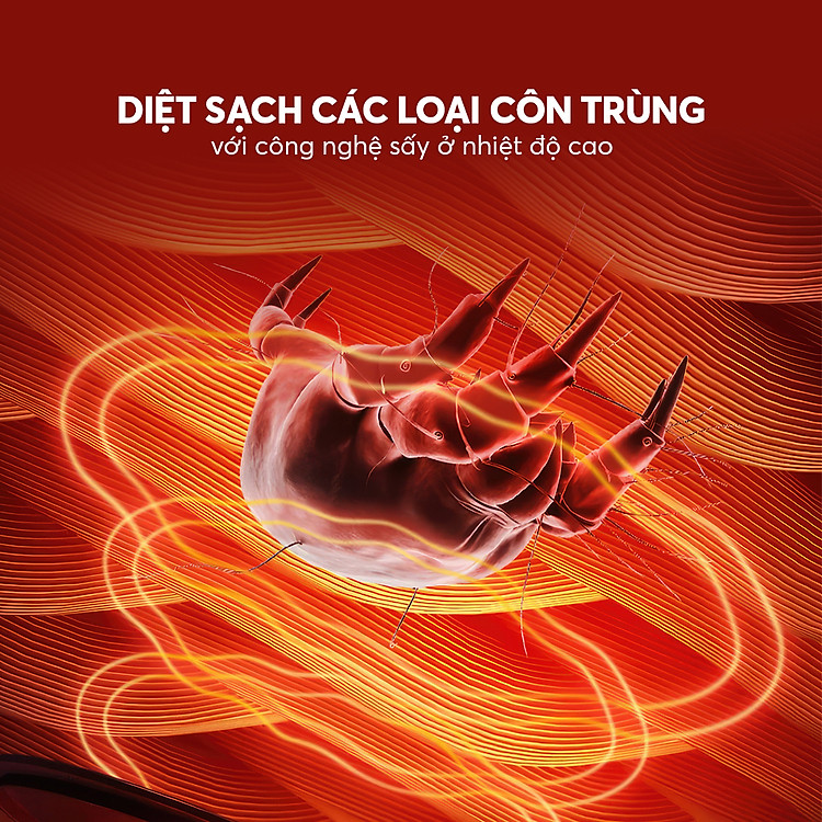 Cde 8641 Profile (8)