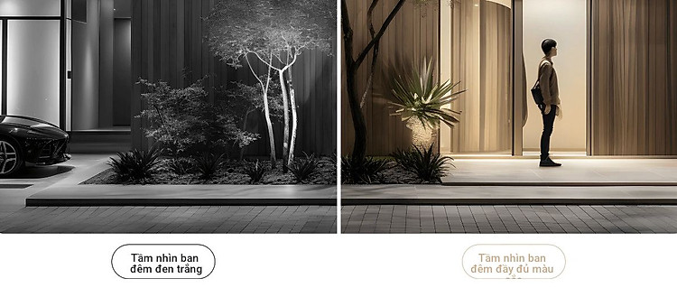 4-7694f785-7e36-4b80-aa4a-fd139239f93a.jpg?v=1711532526554