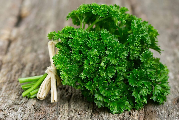 mùi tây thương hiệu hava foodies 100g dried parsley 1