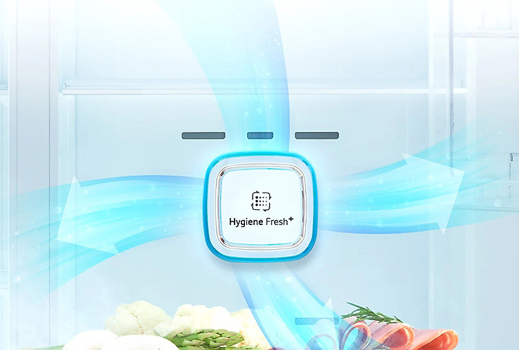 Tủ lạnh LG LG GN-D602BLI kháng khuẩn hygiene fresh