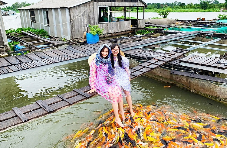 Làng cá bè cực đẹp ở Cồn Sơn - tour miền Tây 4 ngày 3 đêm