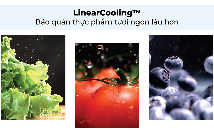 Công nghệ LINEARCooling giúp bảo quản thực phẩm tươi lâu hơn