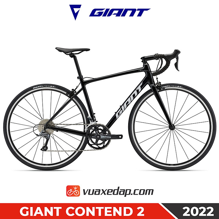 giant-contend-2-2022.jpg?v=1678952383537