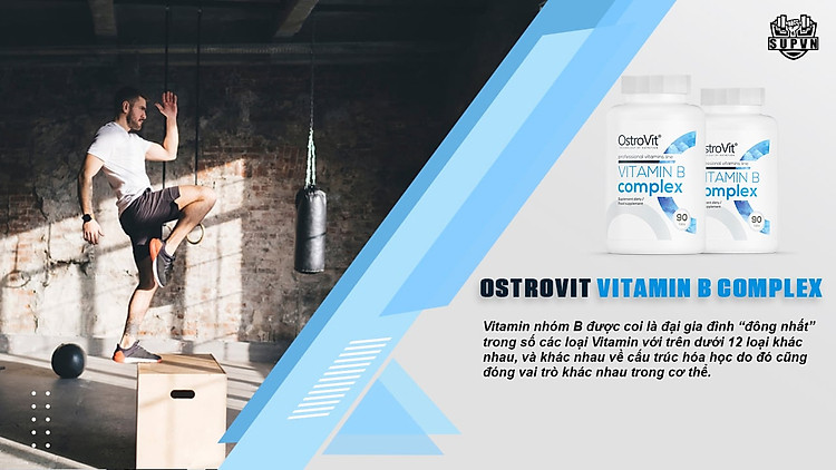 ostrovit-vitamin-b-complex-co-den-12-loai-vitamin-b