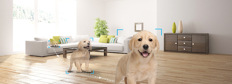 Camera IP - Camera Wifi Trong Nhà EZVIZ C6CN 1080P - Đàm Thoại 2 Chiều - Xoay 360 Độ Theo Chuyển Động - Hàng nhập khẩu 3