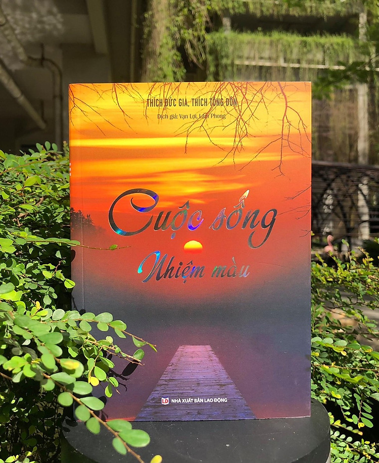 Sách - Cuộc sống nhiệm màu - Vinhnghiem Books