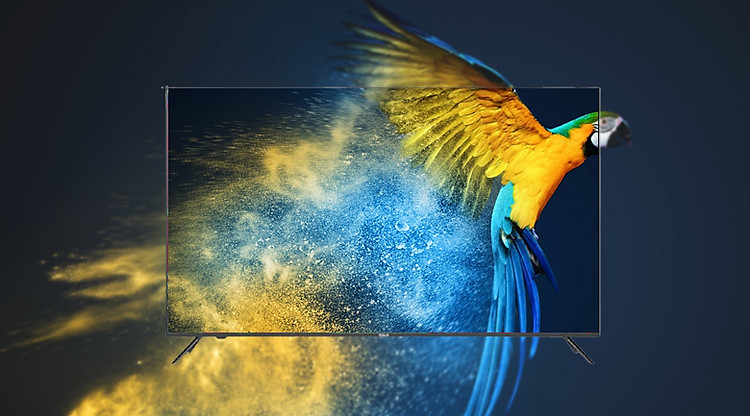 Wide Color Gamut - Android Tivi AQUA 4K 50 inch LE50AQT6600UG