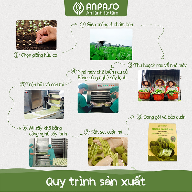 mì củ nghệ tự nhiên nguyên chất anpaso 120g 4