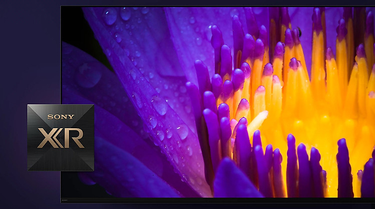 Google Tivi OLED Sony 4K 65 inch 65A80L - Bộ xử lý trí tuệ nhận thức XR Cognitive