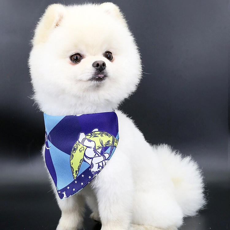 H944af2d387fe448599405eb7d53a68d8G.jpg?800&800&hash=1600