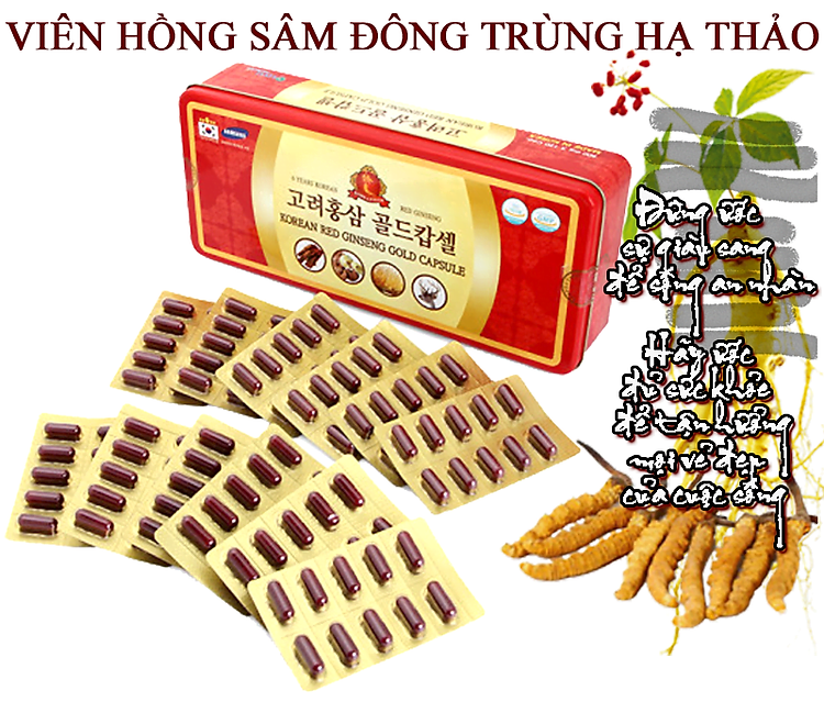 Viên Hồng Sâm Đông Trùng Hạ Thảo