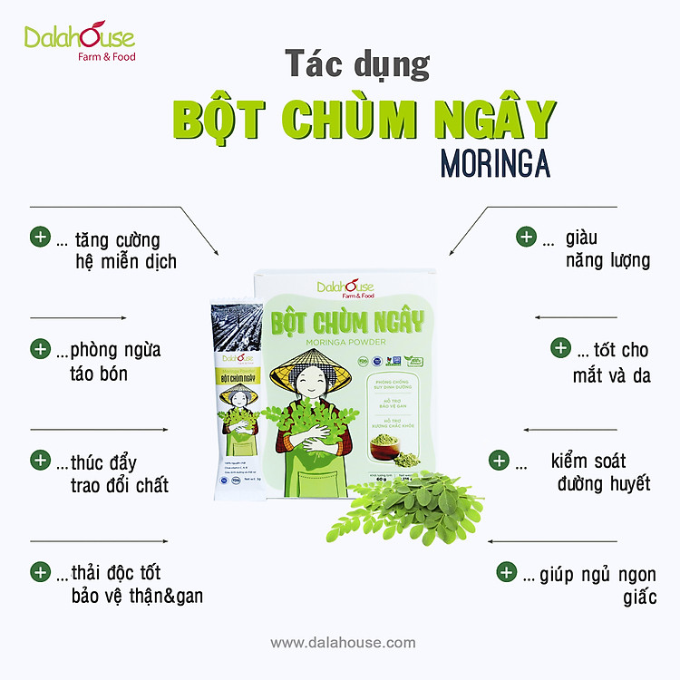 17-dalahouse-tac-dung-cua-chum-ngay.jpg