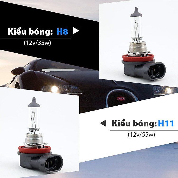 nd-bong-den-halogen-neolux-h11-12v-7.jpg?v=1701074620146