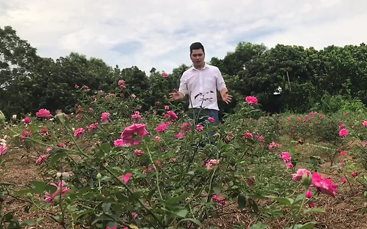 Anh Dương Ngọc Trường cạnh vườn hồng Befine để sản xuất toner - hydrosol - nước hoa hồng 