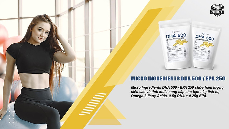 Micro-Ingredients-DHA -500- EPA -250-thanh-phan-chinh