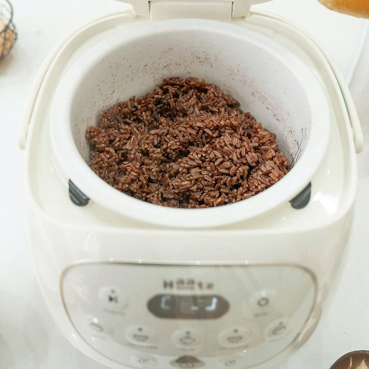 Nồi cơm điện tử ruột sứ Haatz Hàn Quốc CIM250