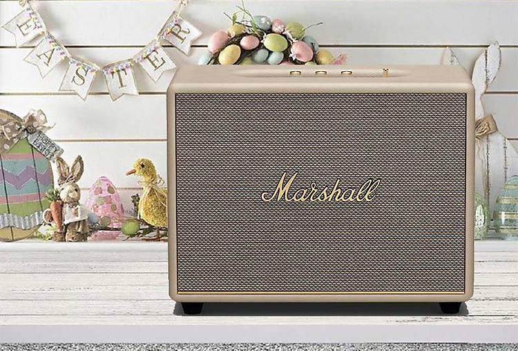 Loa Bluetooth Marshall Woburn 3