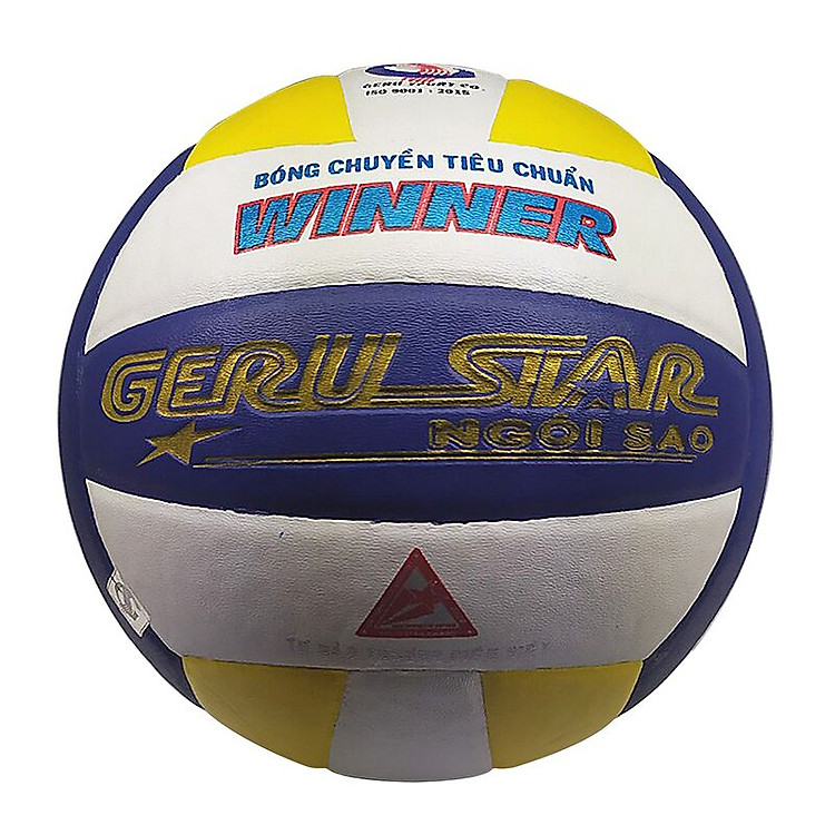 Quả bóng chuyền số 5