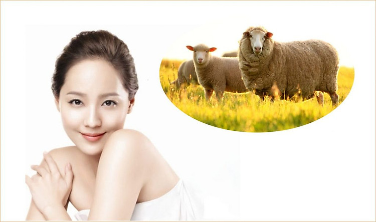 nhau-thai-cuu-1024x605.jpg?v=1651717795964