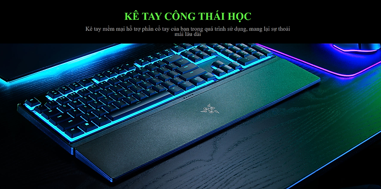 Bàn phím game Razer Ornata V3X-Low Profile (USB/RGB) (RZ03-04470100-R3M1) 6