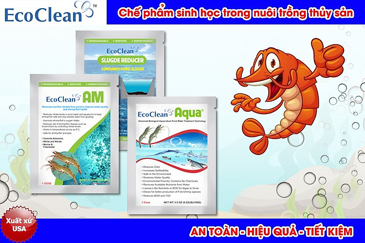 hxMcNq_simg_d0daf0_800x1200_max.jpg