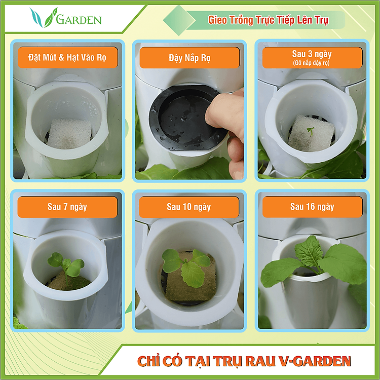 bỏ hạt ươm trồng trực tiếp trên trụ thủy canh trụ đứng v-garden bỏ hạt ươm trồng trực tiếp trên trụ thủy canh trụ đứng v-garden