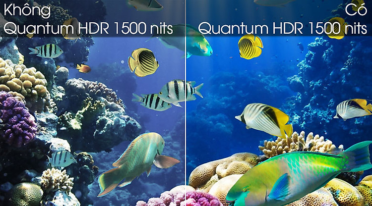 Quantum HDR - Smart Tivi QLED Samsung 4K 55 inch QA55Q80TA