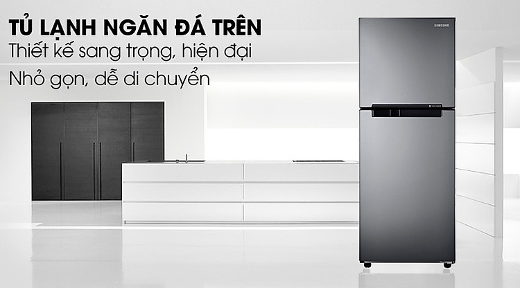 Tủ lạnh Samsung RT19M300BGS/SV